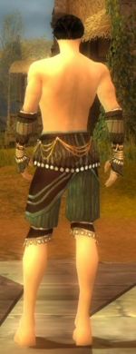 Ritualist Vabbian armor m gray back arms legs.jpg