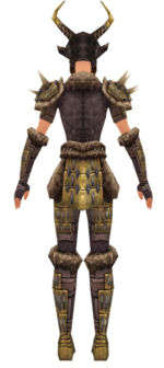Warrior Charr Hide armor f dyed back.jpg