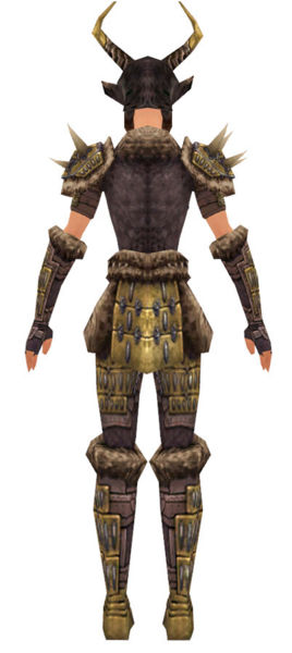File:Warrior Charr Hide armor f dyed back.jpg