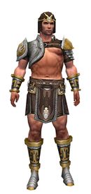 Warrior Gladiator armor m.jpg