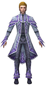 Elementalist Elite Iceforged armor m dyed front.jpg