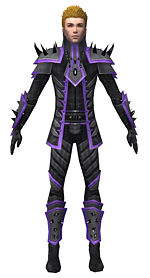 Guild Wars Elementalist Armor on Gallery Of Male Elementalist Obsidian Armor   Guild Wars Wiki  Gww