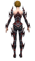 Necromancer Elite Profane armor f dyed back.jpg