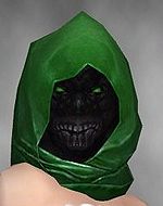 Vale Veil costume f green front head.jpg