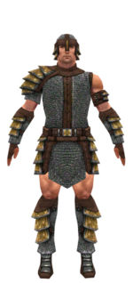 Warrior Krytan armor m dyed front.jpg
