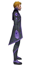 Elementalist Tyrian armor m dyed right.jpg