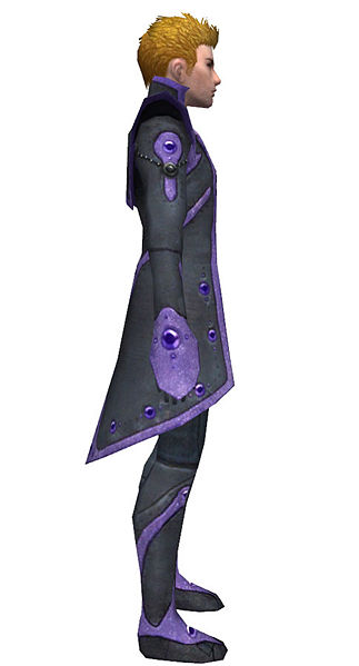File:Elementalist Tyrian armor m dyed right.jpg
