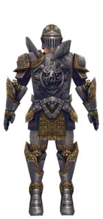 Warrior Platemail armor m dyed front.jpg