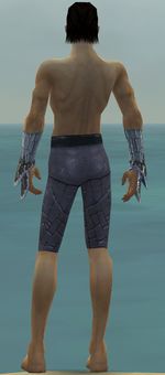 Elementalist Elite Iceforged armor m gray back arms legs.jpg