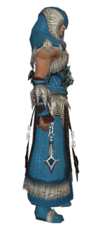 Dervish Norn armor m dyed right.png