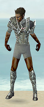 Necromancer Fanatic armor m gray front chest feet.jpg