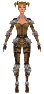 Ranger Elite Fur-Lined armor f dyed front.jpg