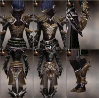 Screenshot Necromancer Asuran armor f dyed Brown.jpg