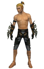 Assassin Elite Kurzick armor m gray front arms legs.png