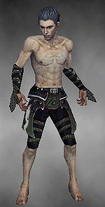 Necromancer Elite Cabal armor m gray front arms legs.jpg