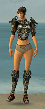 Warrior Elite Canthan armor f gray front chest feet.jpg
