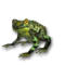 The Frog (miniature).png