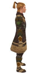 Ranger Elite Druid armor m dyed right.jpg