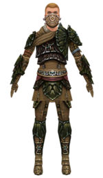 Ranger Elite Luxon armor m dyed front.jpg