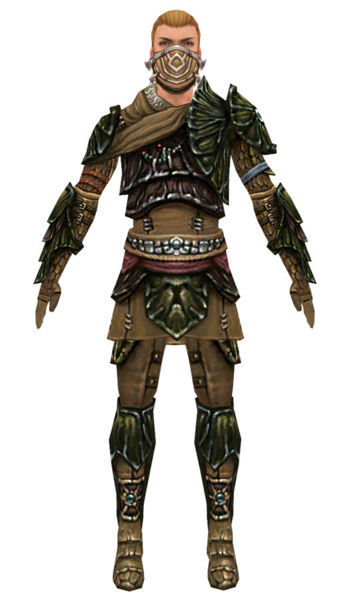 File:Ranger Elite Luxon armor m dyed front.jpg