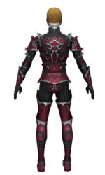 Necromancer Tyrian armor m dyed back.jpg