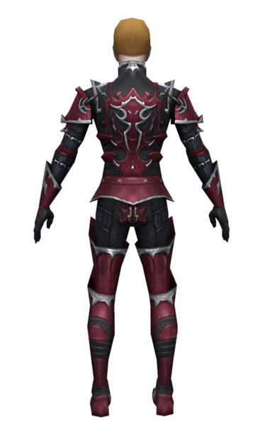 File:Necromancer Tyrian armor m dyed back.jpg