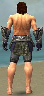 Warrior Platemail armor m gray back arms legs.jpg