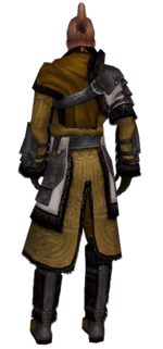 Ranger Norn armor m dyed back.png