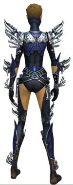 Assassin Asuran armor f dyed back.png