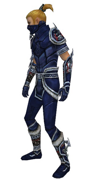 File:Assassin Norn armor m dyed left.png