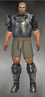 Warrior Elite Templar armor m gray front chest feet.jpg