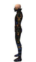 Assassin Elite Kurzick armor m dyed left.jpg