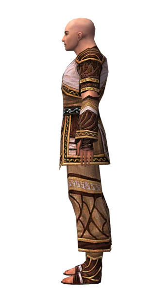 File:Monk Elite Canthan armor m dyed left.jpg