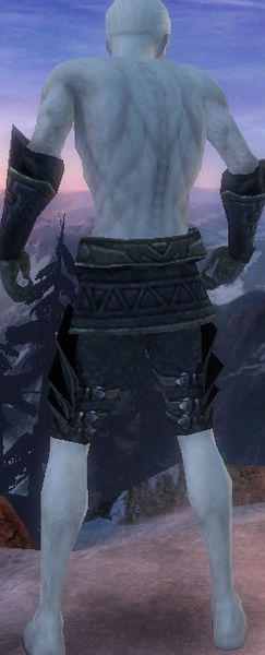 File:Necromancer Elite Cultist armor m gray back arms legs.jpg