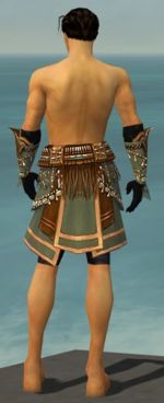 Ritualist Imperial armor m gray back arms legs.jpg