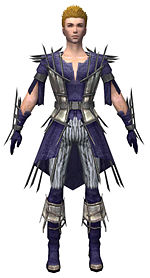 Guild Wars Elementalist Armor on Gallery Of Male Elementalist Primeval Armor   Guild Wars Wiki  Gww