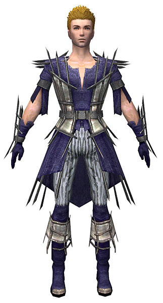 File:Elementalist Primeval armor m dyed front.jpg