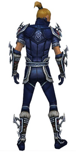 Assassin Norn armor m dyed back.png