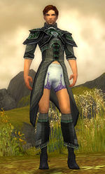 Elementalist Elite Luxon armor m gray front chest feet.jpg