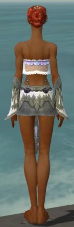Elementalist Iceforged armor f gray back arms legs.jpg