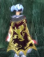 Guild Serious Gamers cape.jpg