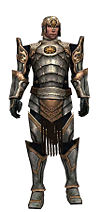 Warrior Sunspear armor m.jpg