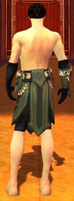 Ritualist Elite Kurzick armor m gray back arms legs.jpg