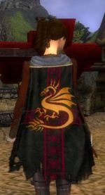 Guild Knights Of The Sacred Light cape.jpg