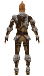 Ranger Elite Fur-Lined armor m dyed back.jpg
