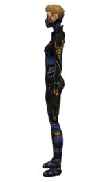Assassin Elite Kurzick armor f dyed left.jpg