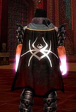 Guild Knights Of Echovald The Sequel cape.jpg