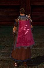 Guild The Pink People cape.jpg