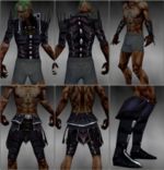 Necromancer Elite Cabal armor m black overview.jpg
