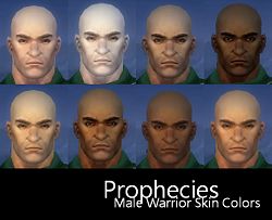 Prophecies Male Warrior Skin Colors.JPG